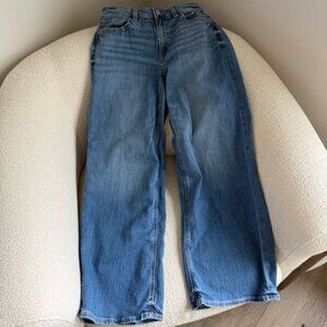 American Eagle Stretch Low-Rise Baggy Wide-Leg Jean 00 Short